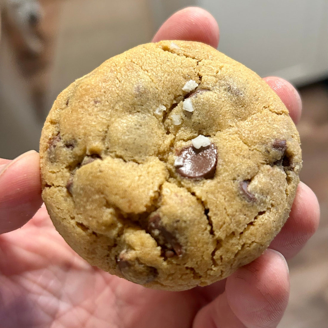 Chocolate Chip Cookies